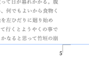 ページ番号表示原因と対処法